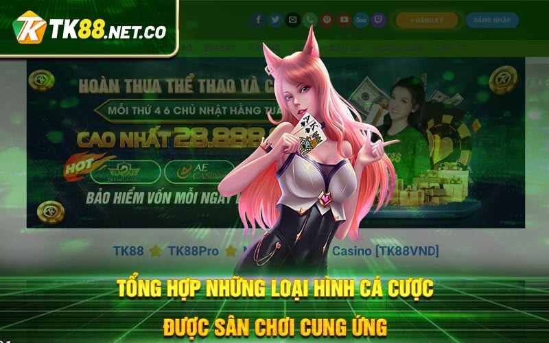 Tổng Quan Tk88 - Đánh Giá Chi Tiết Công Bằng Nhà Cái