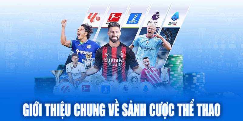 Giới thiệu chung về sảnh cược thể thao Bet88